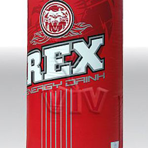 Rex can 4 m commercial custom inflatable