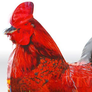 Rooster - digital commercial inflatable softplay